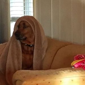 Meet your Posher, Pat